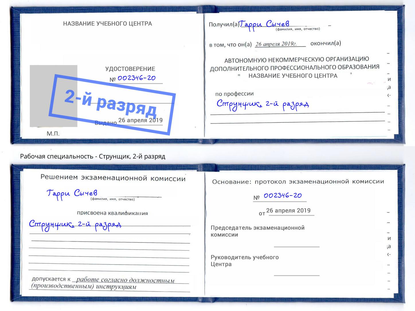 корочка 2-й разряд Струнщик Арзамас