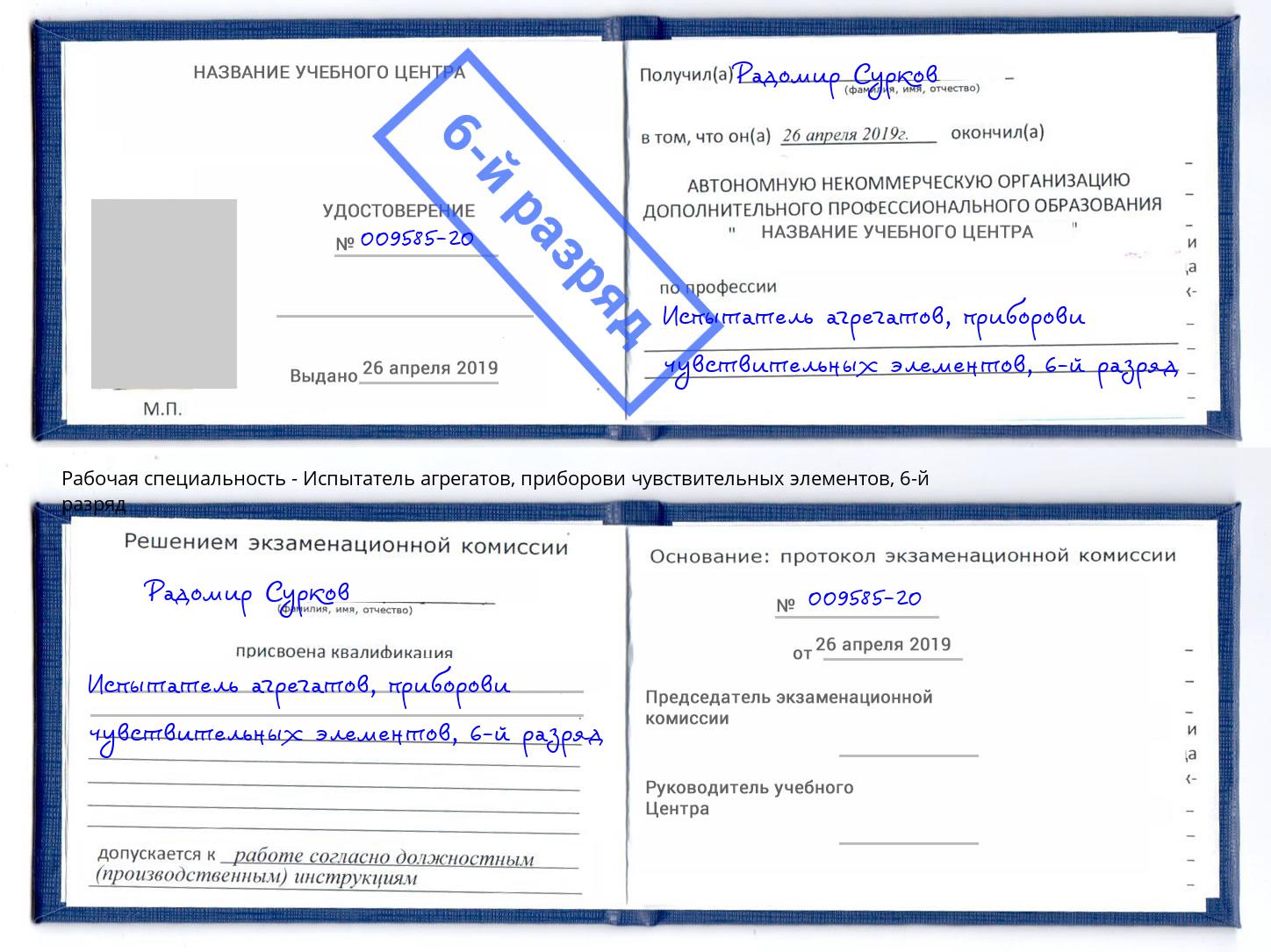 корочка 6-й разряд Испытатель агрегатов, приборови чувствительных элементов Арзамас