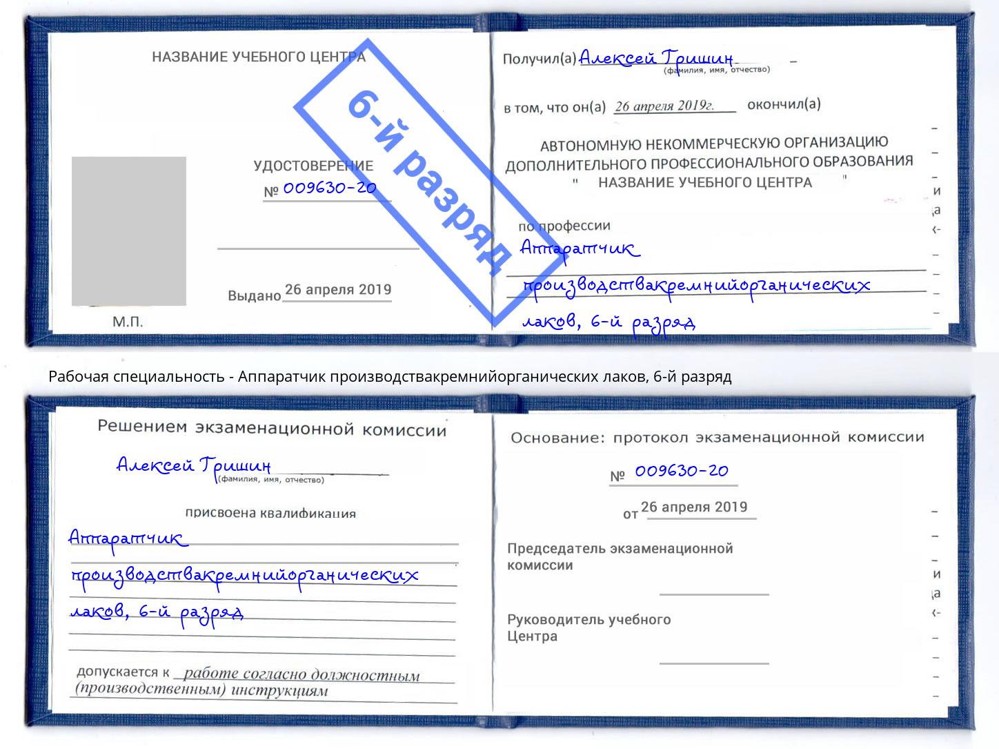 корочка 6-й разряд Аппаратчик производствакремнийорганических лаков Арзамас