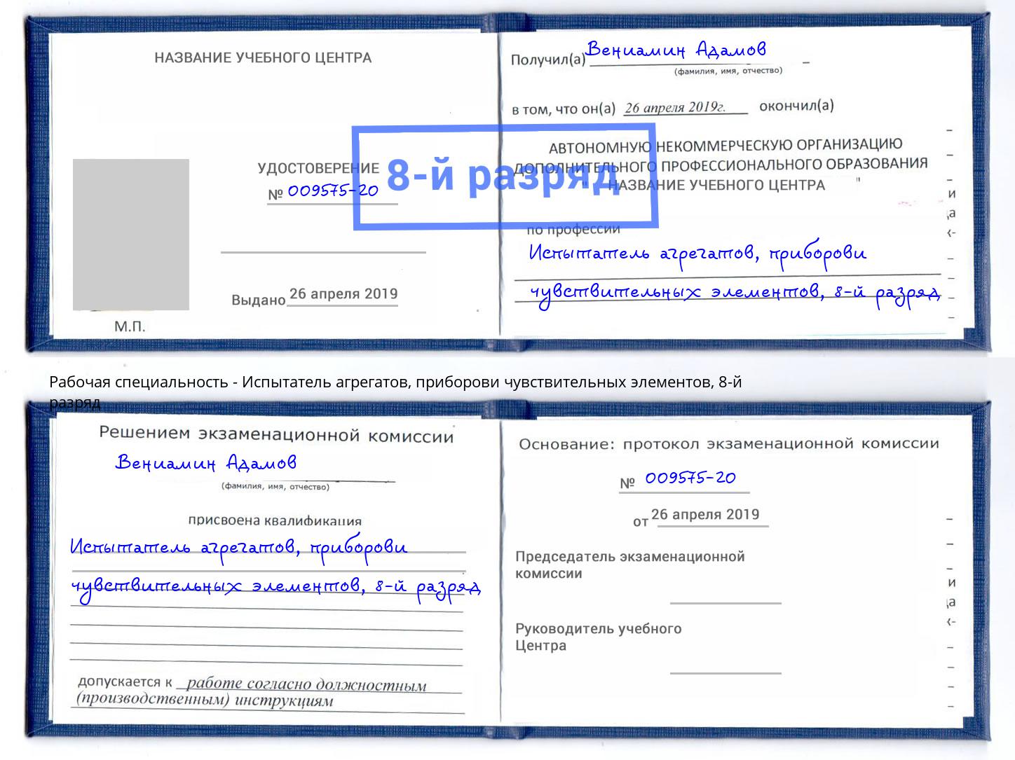 корочка 8-й разряд Испытатель агрегатов, приборови чувствительных элементов Арзамас